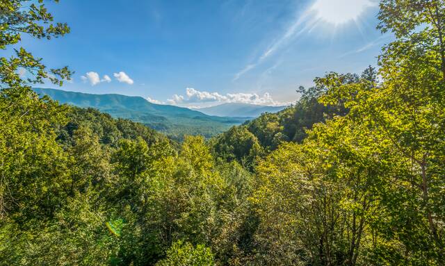 Image for Be First to Stay and Save 20% on New Cabins!